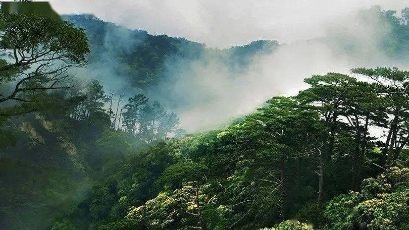 霍比特人救援