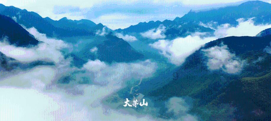 亚洲杯小组赛阿曼VS泰国首发:素巴猜&素帕纳先发登场