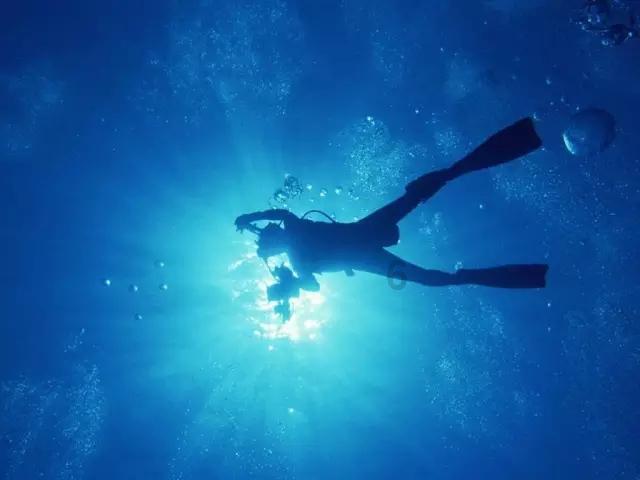 《黄貔:天降财神猫》曝民谣主题曲《有故事的人》,致敬离家闯荡的小神仙们