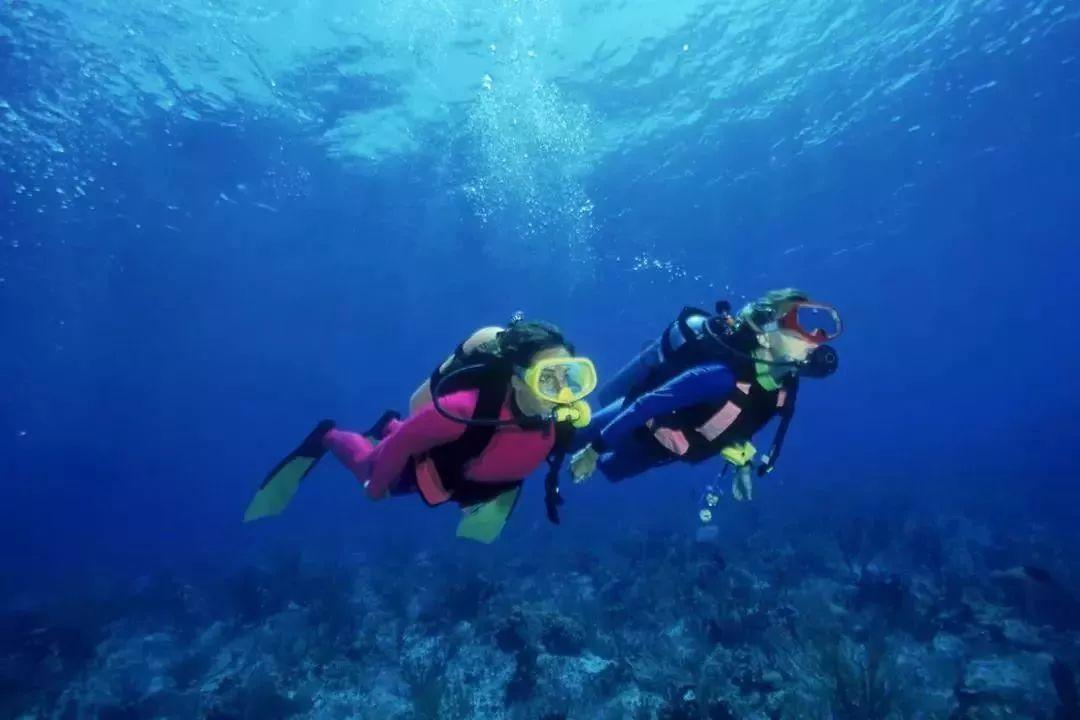你心爱的猫挠坏你最爱的包怎么办?几千块钱的包给抓成这副模样?