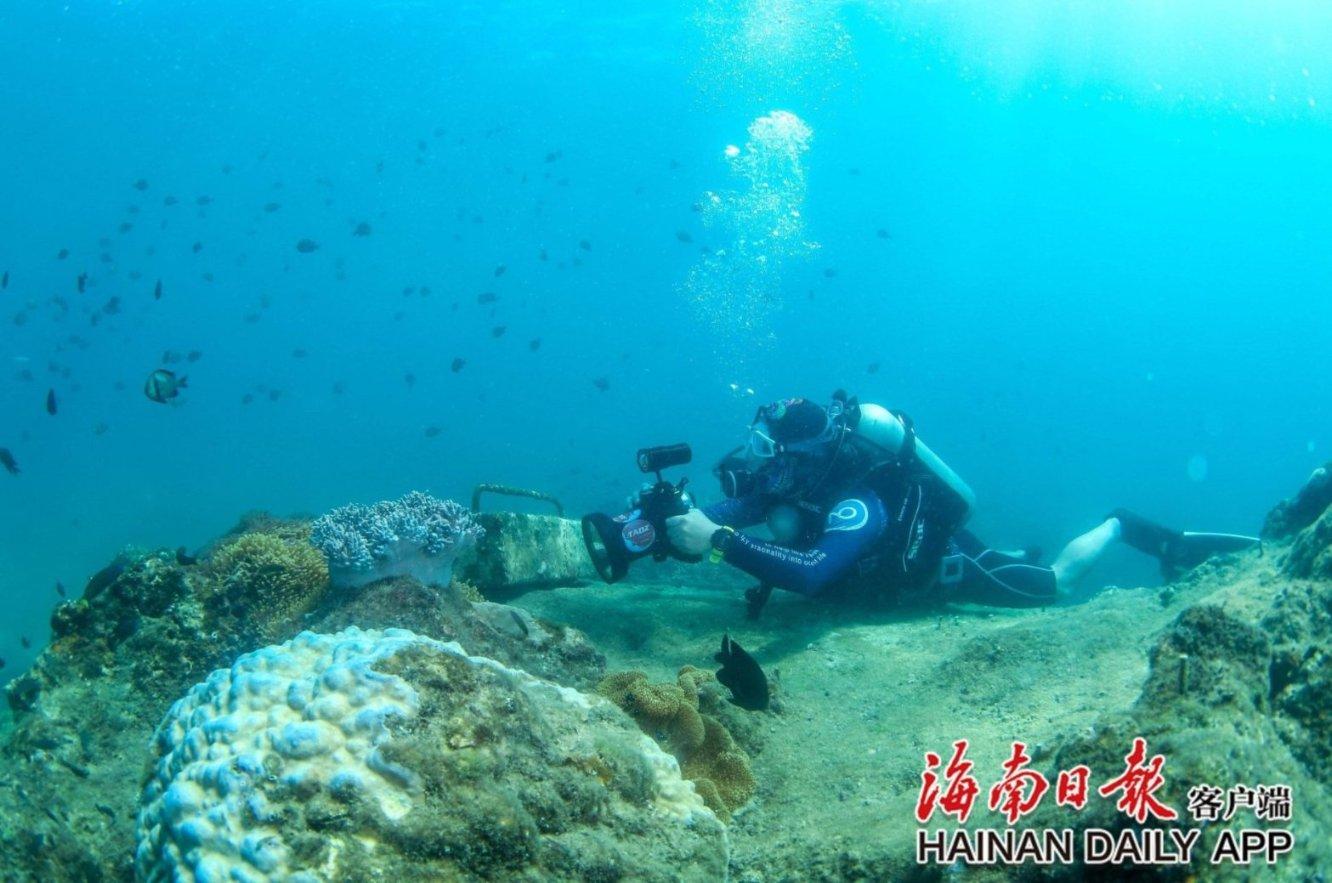 刺客信条4重制版！曝刺客信条新作明年发布
