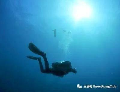 救援菠萝舞者