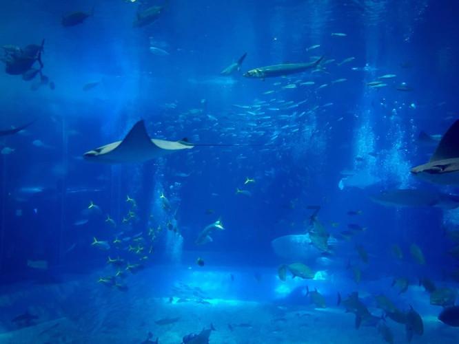 海绵宝宝寻珍宝
