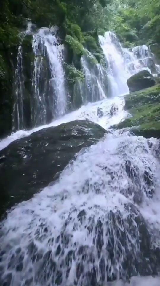 春运出行早知道  衡水加开临客44列