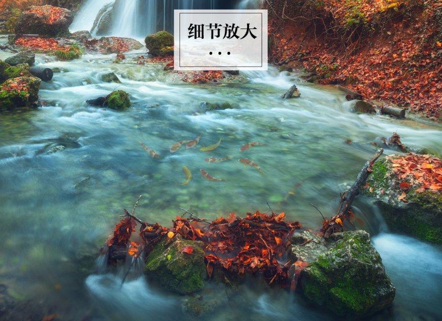次元喵