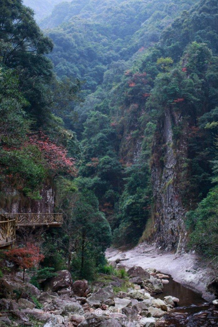 救援青龙