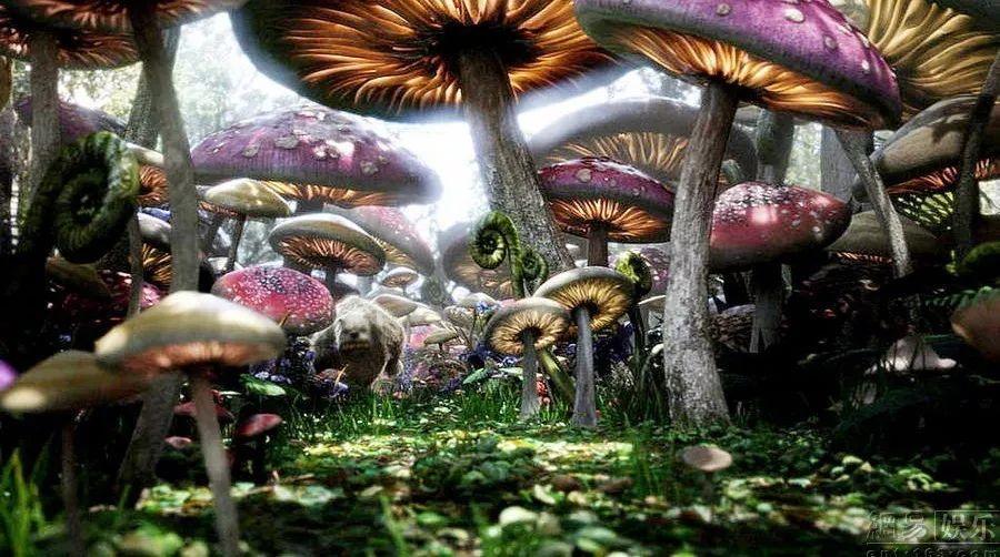 美图秀秀下载2023最新版