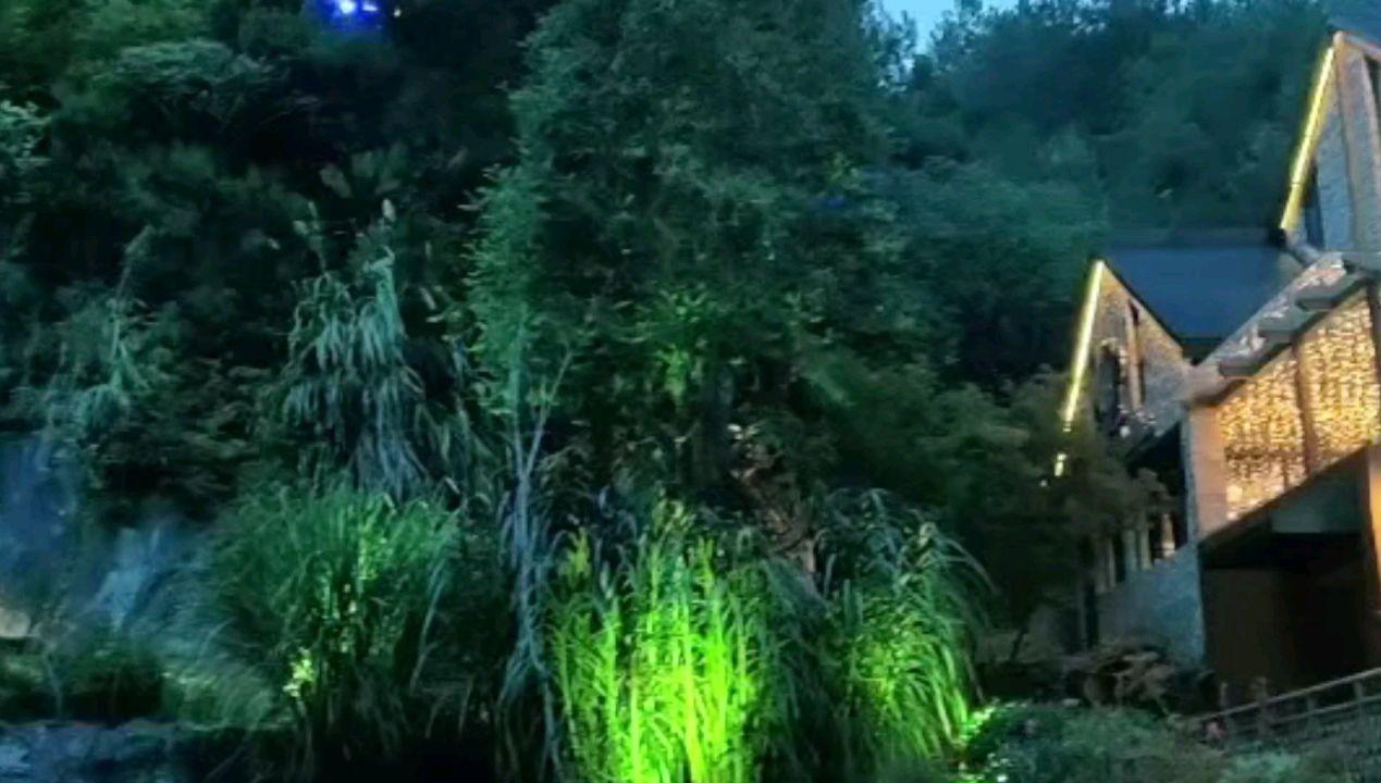 彩虹六号围攻